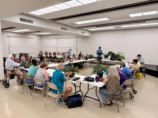 Members of the Louisiana Bonsai Society gathered around tables at a meeting